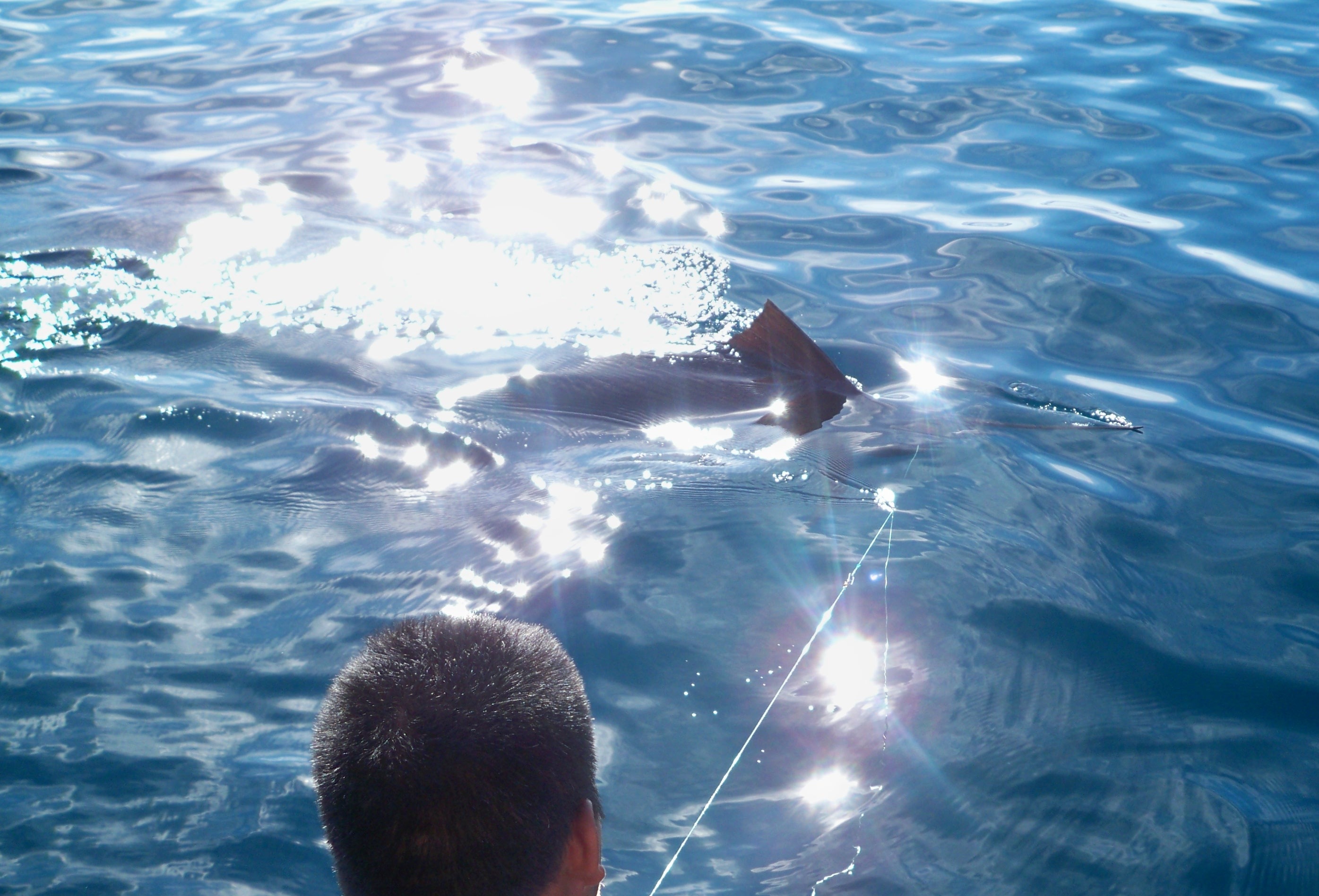 Charter Privado de Pesca & Paseo